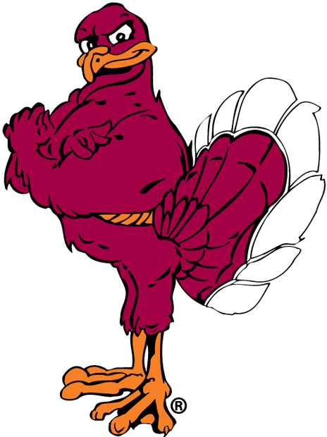 Virginia Tech Hokies 2000-Pres Mascot Logo v2 iron on transfers for fabric